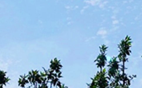 Ĝܰ簲Z49l