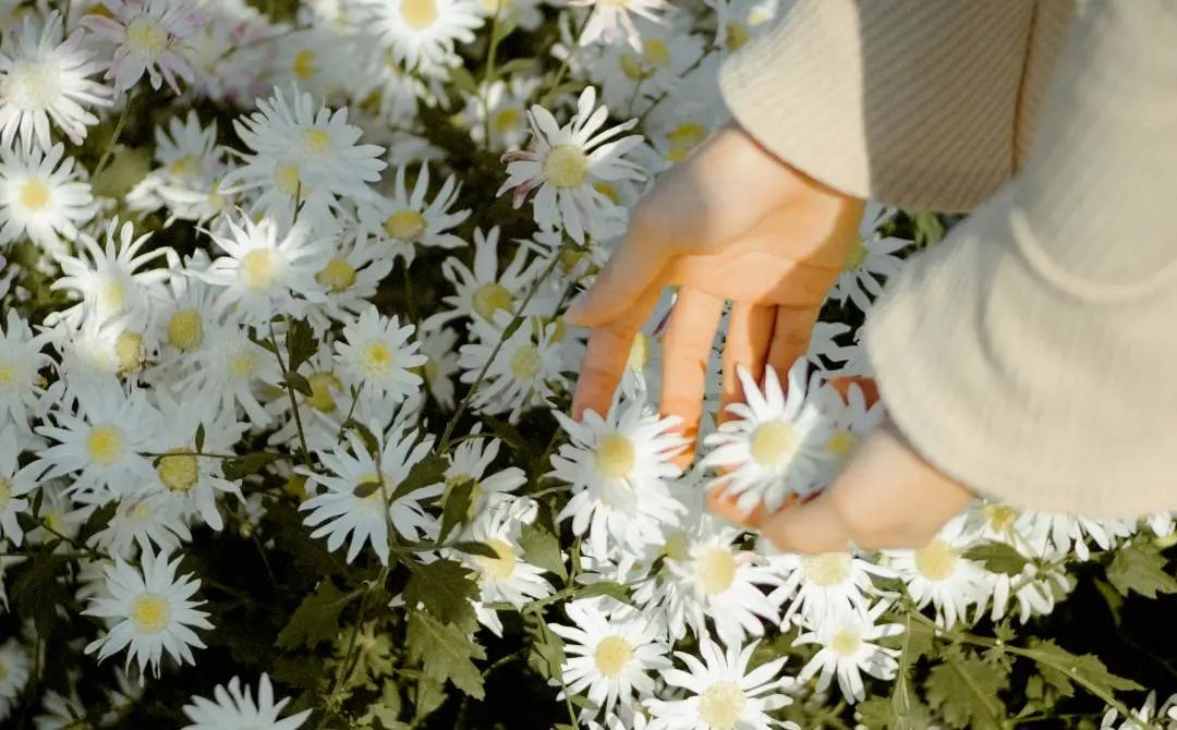 廣州裝修設(shè)計 廣州裝修設(shè)計